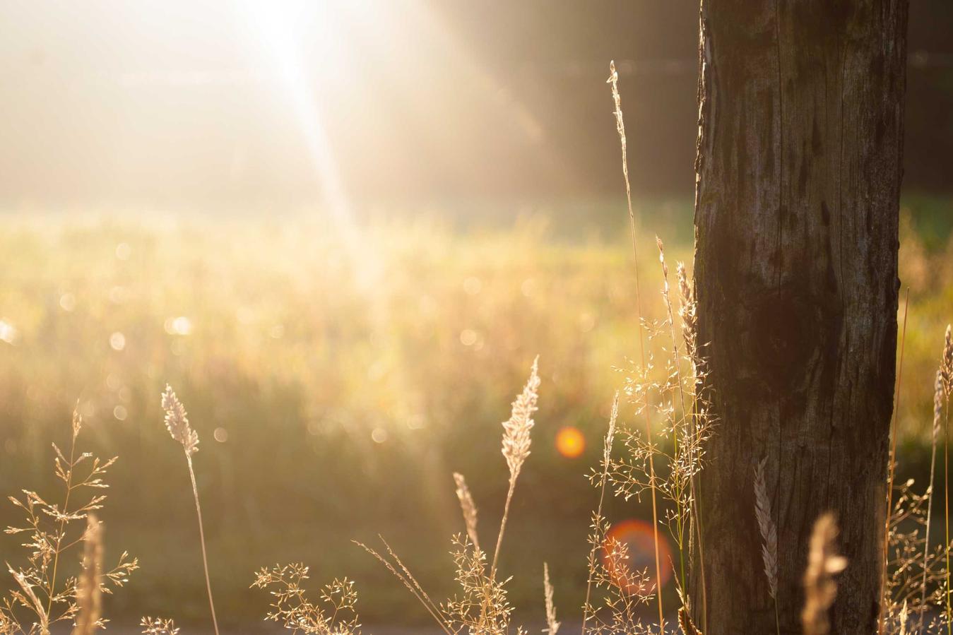 Porro voluptatum accusamus earum